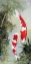 Picture of KOI 2