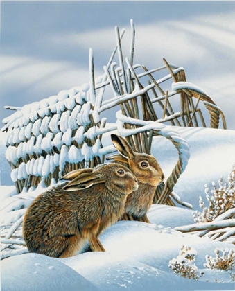 Picture of BUNNIES IN THE SNOW