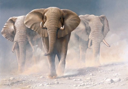 Picture of RUNNING ELEPHANTS I