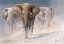 Picture of RUNNING ELEPHANTS I