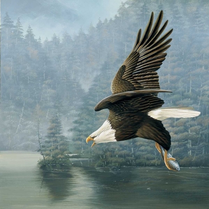 Picture of FLYING EAGLE