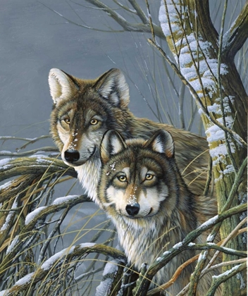 Picture of TWO WOLVES