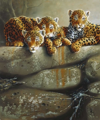 Picture of THREE LITTLE TIGERS