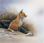 Picture of LITTLE FOX