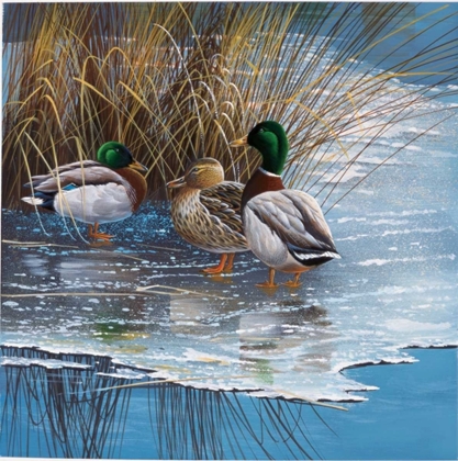 Picture of THREE DUCKS ON ICE