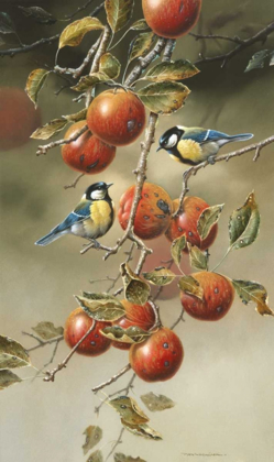 Picture of TWO BIRDS IN APPLETREE