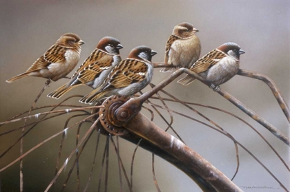 Picture of BIRDS ON A BROKEN BICYCLE