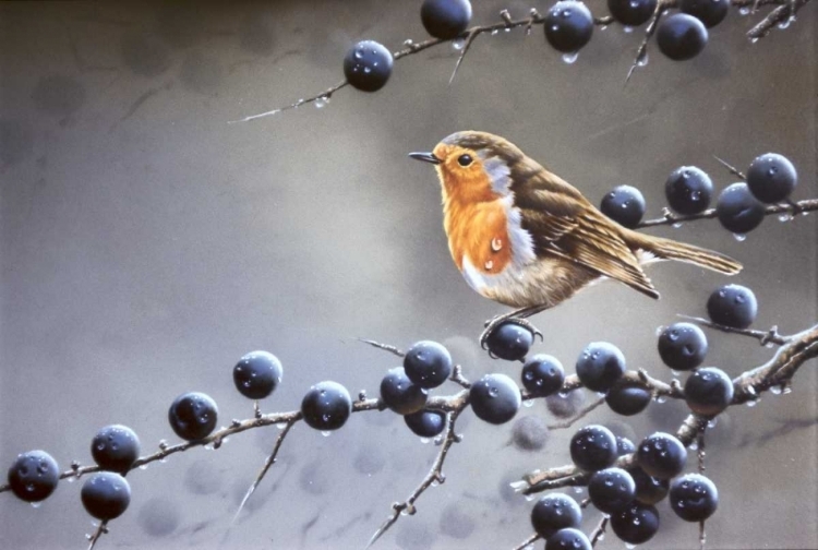 Picture of BIRD SITTING ON VINETREE