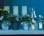 Picture of BLUE