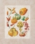 Picture of YELLOW MIX II