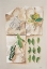 Picture of FOREST COLLECTION I