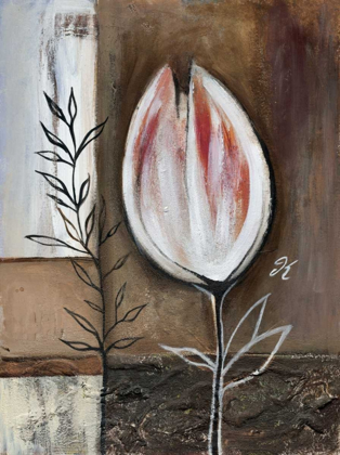 Picture of TULIP IN BROWN IV
