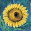 Picture of SUNFLOWER 