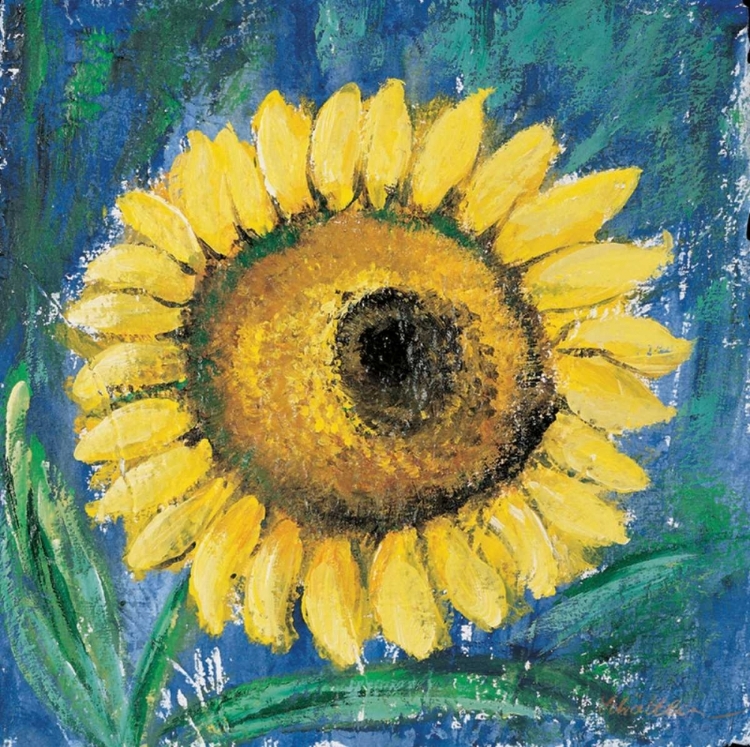 Picture of SUNFLOWER 