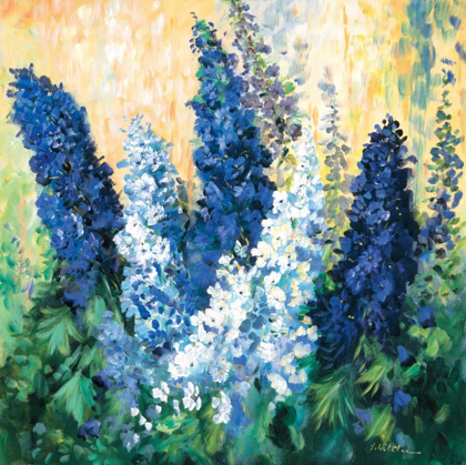 Picture of LARKSPUR IN BLUES