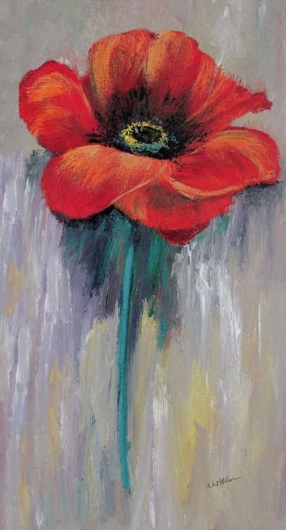 Picture of RED POPPY II