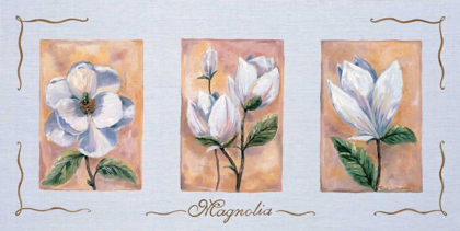 Picture of MAGNOLIA TRIPTYCHON