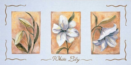 Picture of WHITE LILY TRIPTYCHON