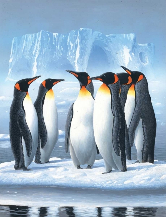 Picture of PINGUINS