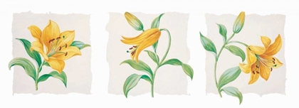 Picture of YELLOW LILY TRIPTYCH