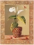 Picture of L ARUM