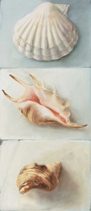 Picture of SHELL SELECTION I