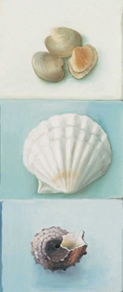 Picture of SHELL SELECTION III