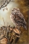 Picture of SLEEPING BIRD