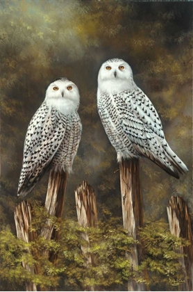 Picture of TWO OWLS
