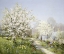 Picture of SPRING BLOSSOMS