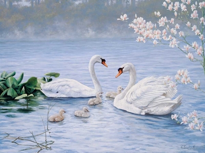 Picture of PROUD SWAN FAMILY