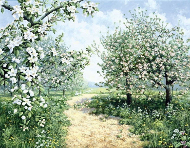 Picture of SPRING