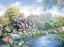 Picture of RHODODENDRON