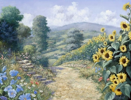 Picture of ALONG THE SUNFLOWERS