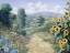Picture of ALONG THE SUNFLOWERS