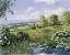Picture of SUMMER TIME