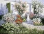Picture of JOES GARDEN