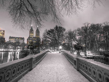 Picture of CENTRAL PARK BOW BRIDGE WITH MANHATTAN SKYLINE, NEW YORK