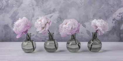 Picture of PEONIES IN GLASS BOTTLES