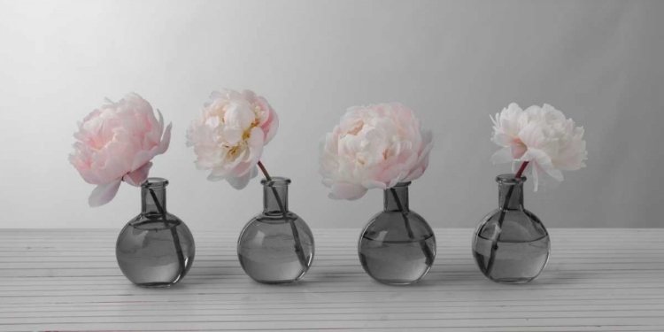 Picture of PEONIES IN GLASS BOTTLES