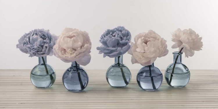 Picture of PEONIES IN GLASS BOTTLES