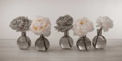 Picture of PEONIES IN GLASS BOTTLES