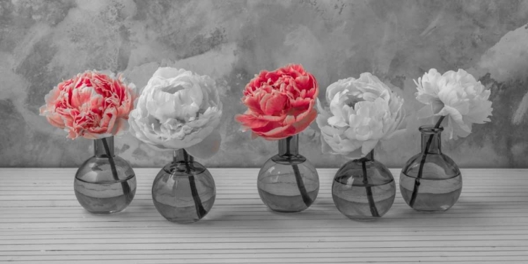 Picture of PEONIES IN GLASS BOTTLES