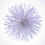 Picture of CHRYSANTHEMUMS FLOWER BACKLIT
