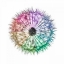 Picture of DANDELION CLOCK OVER WHITE BACKGROUND