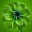 Picture of AF20110818 DAHLIA 027C04 GREENC01