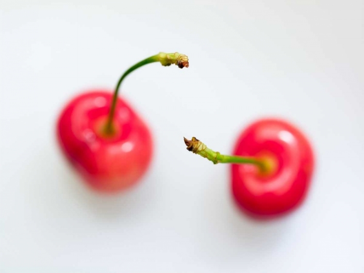 Picture of CLOSE-UP OF CHERRIES