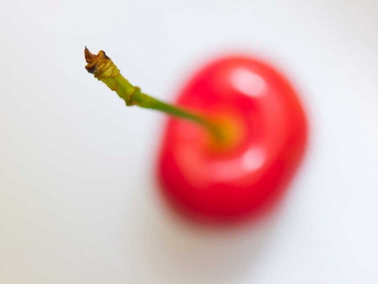 Picture of CLOSE-UP OF CHERRY, STUDIO SHOT