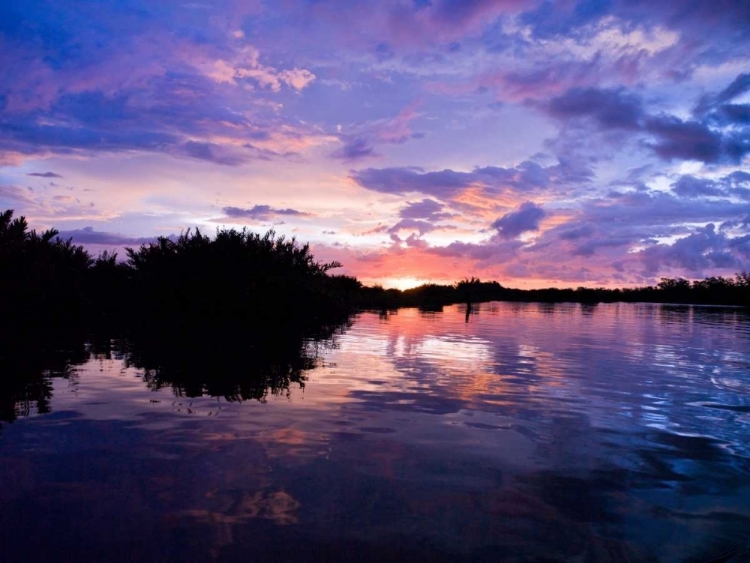 Picture of RIVER AT DUSK, MALAYSIA, KOTAKINABALU