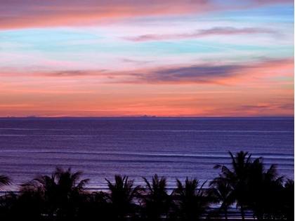 Picture of SEA BY PALM TREE AT DUSK, ELEVATED VIEW